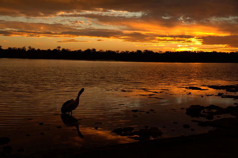Dungowan Holiday Accommodation - Sunshine Coast Tourism 31