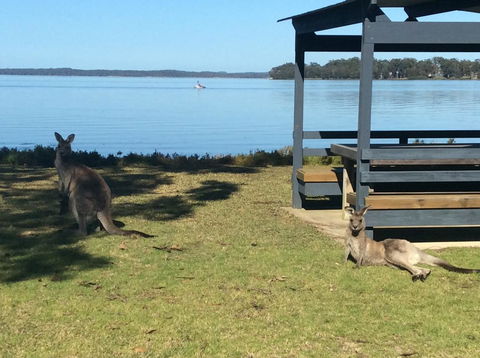Dungowan Holiday Accommodation - Sunshine Coast Tourism 33