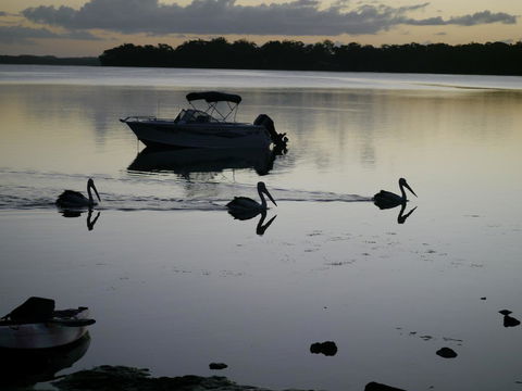 Dungowan Holiday Accommodation - Sunshine Coast Tourism 41