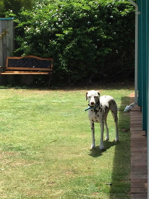 Beachside Prevelly Villas - Sunshine Coast Tourism 31