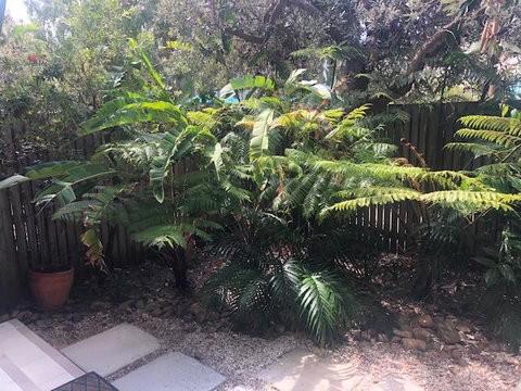 East On Byron - Sunshine Coast Tourism 40