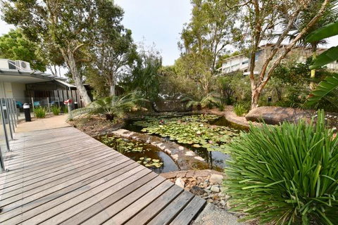 East On Byron - Sunshine Coast Tourism 44