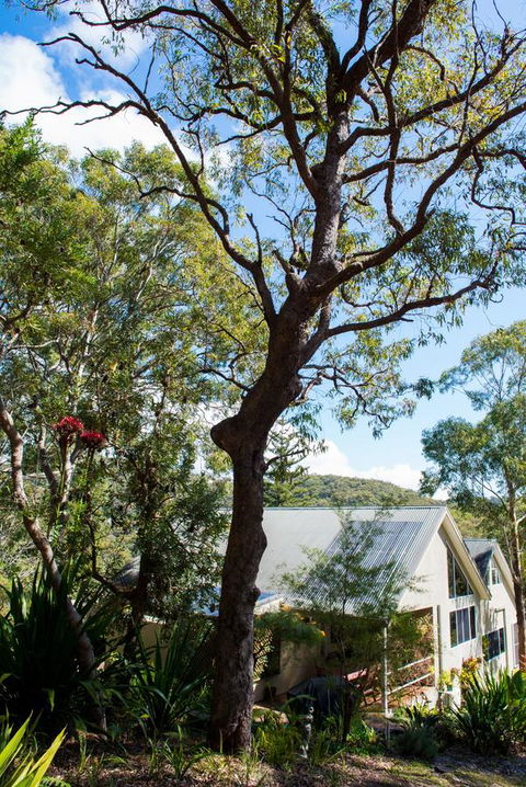 Nelson Bay Bed & Breakfast - Holiday Sunshine Coast 42
