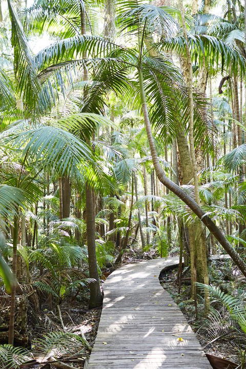 Crystalbrook Byron - Holiday Sunshine Coast 26
