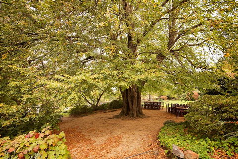 Nesuto Leura Gardens (formerly Waldorf Leura Gardens Resort) - Sunshine Coast Tourism 1