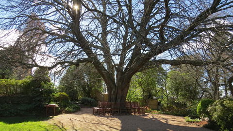 Nesuto Leura Gardens (formerly Waldorf Leura Gardens Resort) - Sunshine Coast Tourism 3