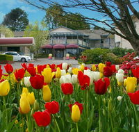 Nesuto Leura Gardens formerly Waldorf Leura Gardens Resort - Sunshine Coast Tourism