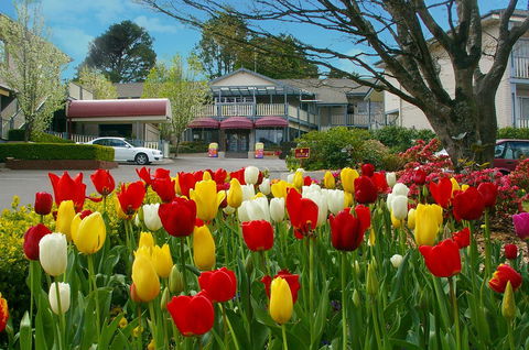 Nesuto Leura Gardens (formerly Waldorf Leura Gardens Resort) - Sunshine Coast Tourism 0