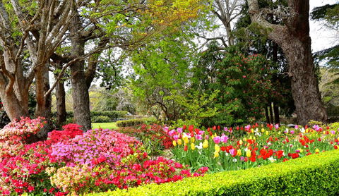 Nesuto Leura Gardens (formerly Waldorf Leura Gardens Resort) - Sunshine Coast Tourism 8
