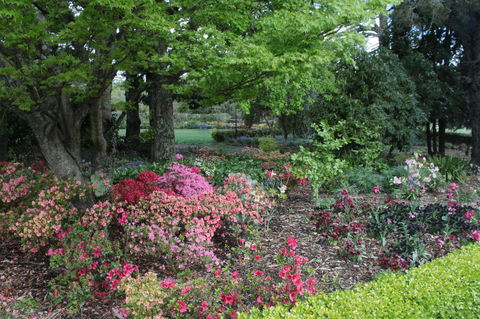 Nesuto Leura Gardens (formerly Waldorf Leura Gardens Resort) - Sunshine Coast Tourism 2