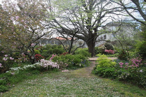Nesuto Leura Gardens (formerly Waldorf Leura Gardens Resort) - Sunshine Coast Tourism 4