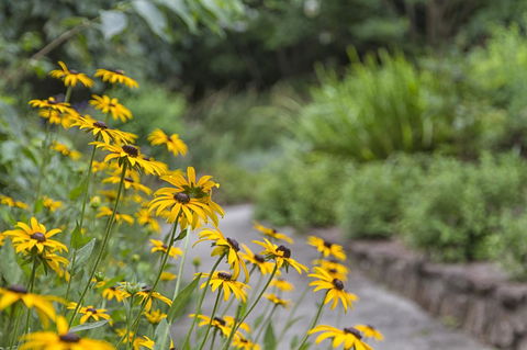 Nesuto Leura Gardens (formerly Waldorf Leura Gardens Resort) - Sunshine Coast Tourism 16