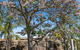 Quality Resort Siesta - thumb 2