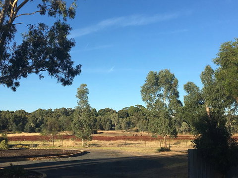 Junee Motor Inn - Sunshine Coast Tourism 24