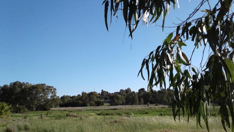 Junee Motor Inn - Sunshine Coast Tourism 8