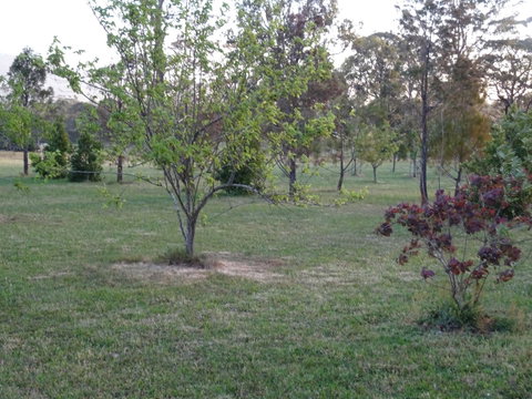 Romanz In The Valley (Luxury B&B) - Sunshine Coast Tourism 32