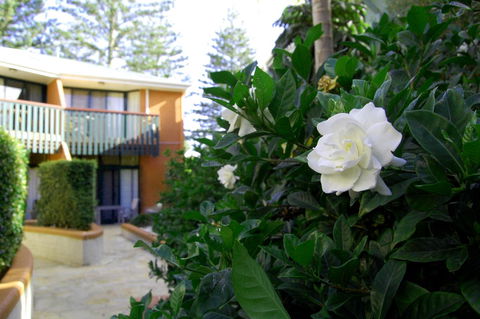 The Crest Byron Bay - Sunshine Coast Tourism 29