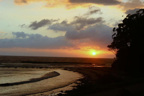 Breakers Apartments - Sunshine Coast Tourism 16