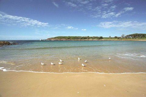 On The Beach Getaway - Sunshine Coast Tourism 12
