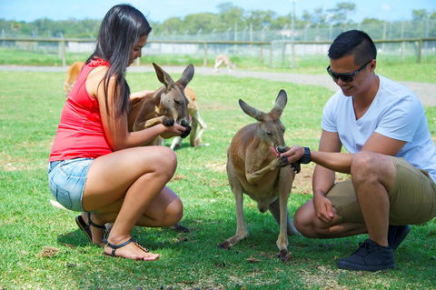 On The Beach Getaway - Sunshine Coast Tourism 25