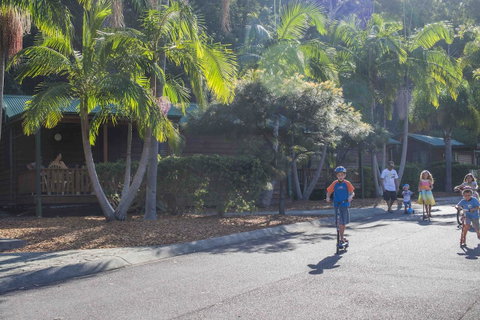The Palms At Avoca - Sunshine Coast Tourism 14