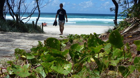 SaltBeach2302 - Holiday Sunshine Coast 15