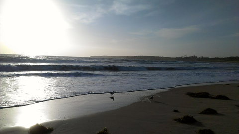 Sweet Spot Shellharbour - Sunshine Coast Tourism 14