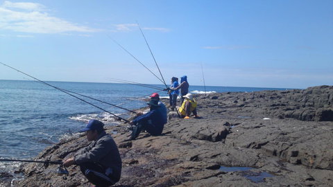 Sweet Spot Shellharbour - Sunshine Coast Tourism 13