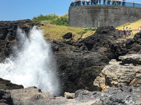 Sweet Spot Shellharbour - Sunshine Coast Tourism 18