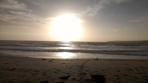 Sweet Spot Shellharbour - Sunshine Coast Tourism 16