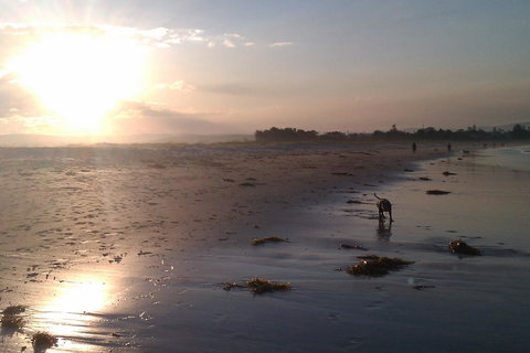 Sweet Spot Shellharbour - Sunshine Coast Tourism 12