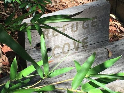 Refuge Cove On Pittwater - Sunshine Coast Tourism 12