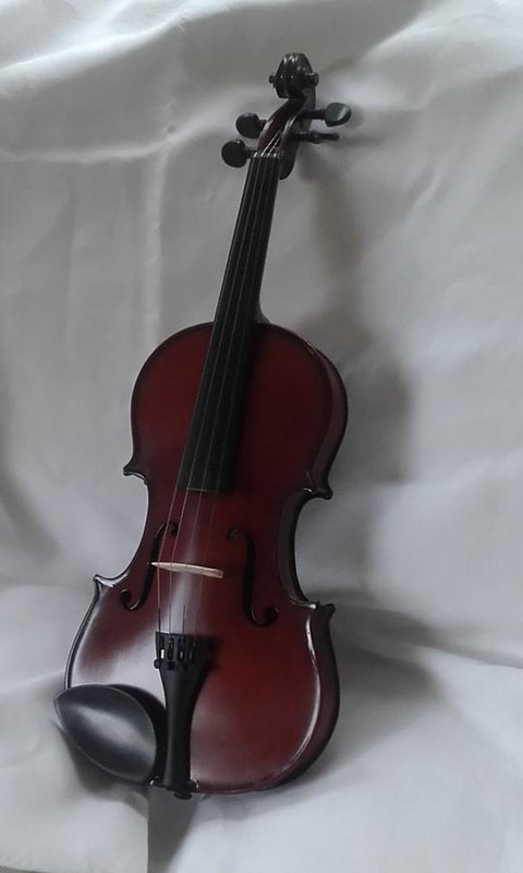 182 Anson Street - Holiday Sunshine Coast 2