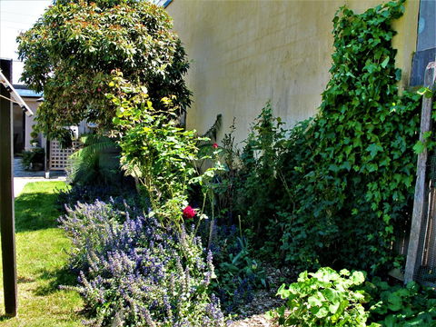 Apple Tree Cottage - Sunshine Coast Tourism 24