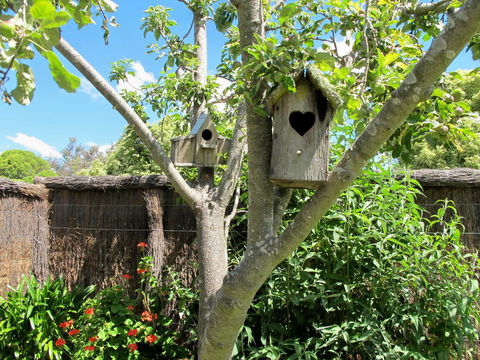 Apple Tree Cottage - Sunshine Coast Tourism 28