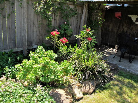 Apple Tree Cottage - Sunshine Coast Tourism 26