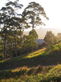 Book Manning Point Accommodation Vacations Sunshine Coast Tourism Sunshine Coast Tourism