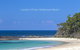 Beachfront 2 - thumb 20