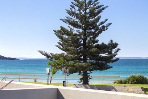 Beachfront 2 - Sunshine Coast Tourism 19