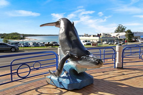 Huskisson Holiday Motel Cabins - Sunshine Coast Tourism 20