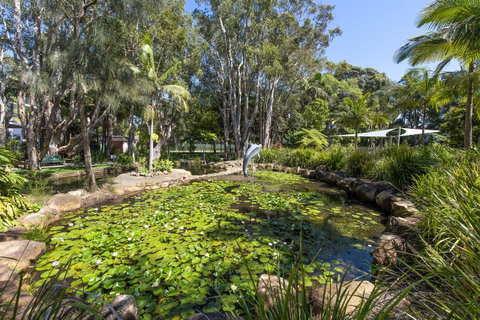 Flynns Beach Resort - Sunshine Coast Tourism 8