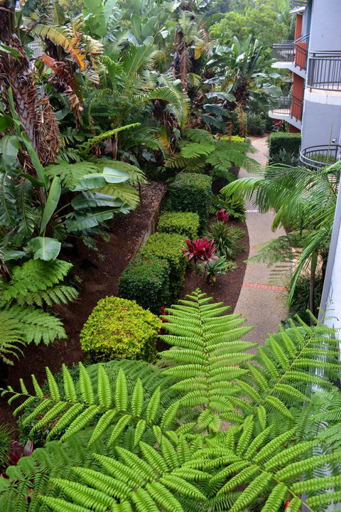 Flynns Beach Resort - Sunshine Coast Tourism 17