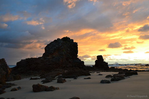 Flynns Beach Resort - Sunshine Coast Tourism 19
