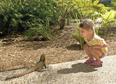 Flynns Beach Resort - Sunshine Coast Tourism 16