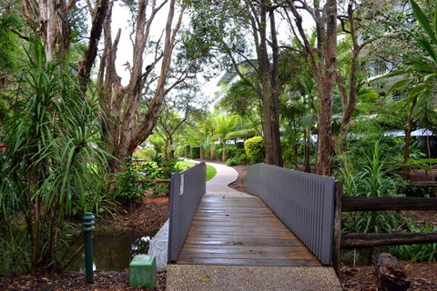Flynns Beach Resort - Sunshine Coast Tourism 12