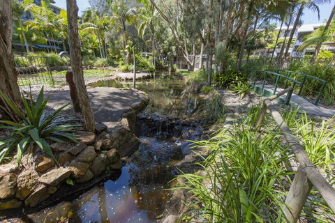 Flynns Beach Resort - Sunshine Coast Tourism 13