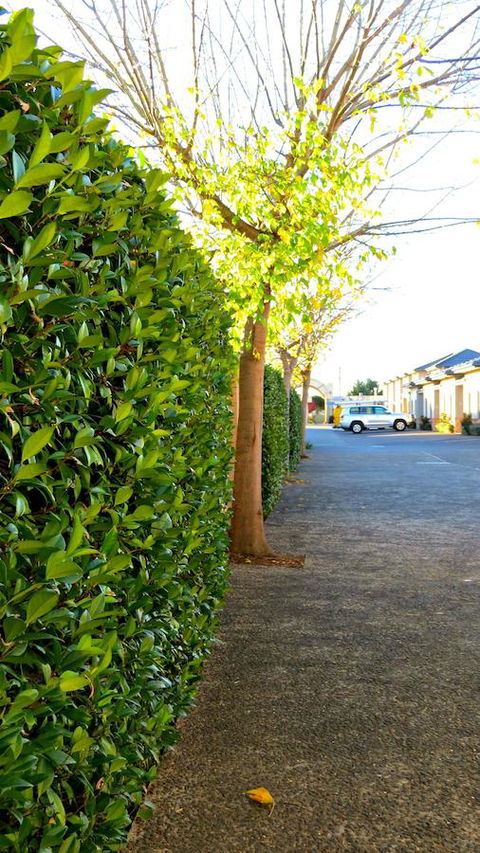 Best Western Plus Goulburn - Sunshine Coast Tourism 37