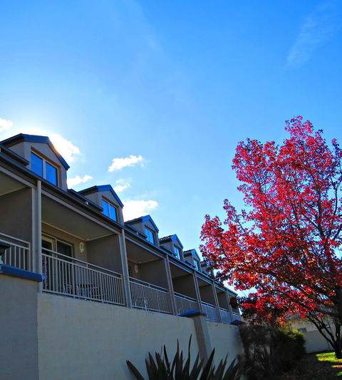 Best Western Plus Goulburn - Sunshine Coast Tourism 9