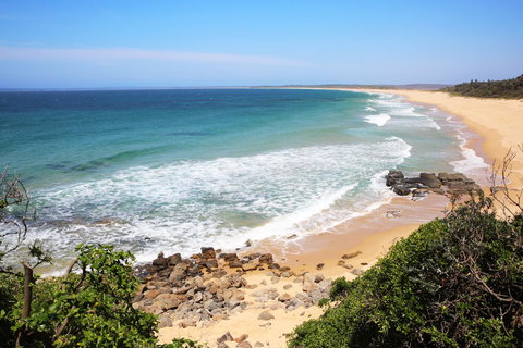 Neptune I Absolute Beachfront I Stunning Views - Sunshine Coast Tourism 36