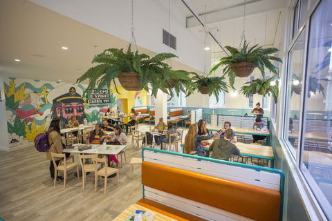YHA Sydney Central - Sunshine Coast Tourism 4
